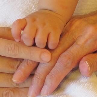 社会福祉法人　利生会