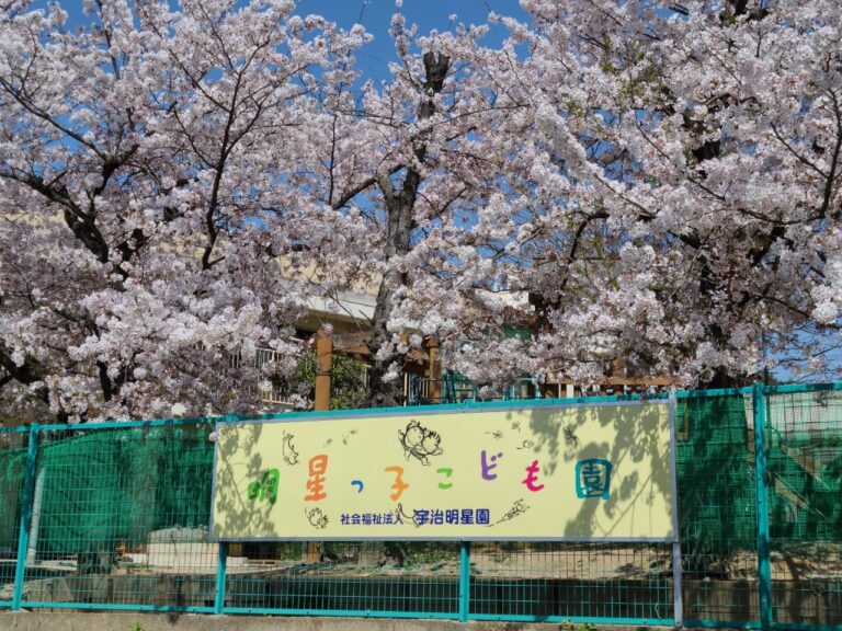 社会福祉法人　宇治明星園　明星っ子こども園