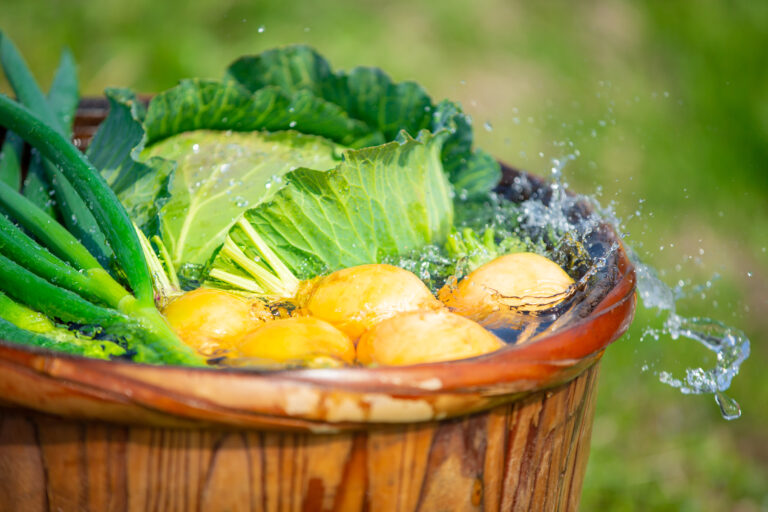 株式会社　すずめファーム