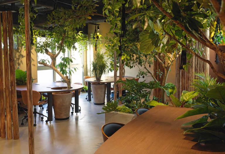 株式会社　ナマケモノ