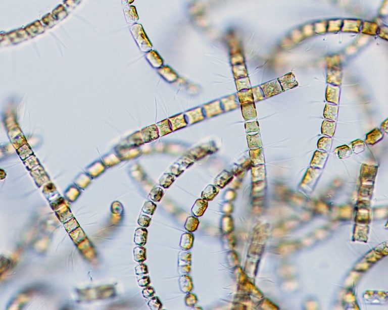 株式会社　Seed Bank