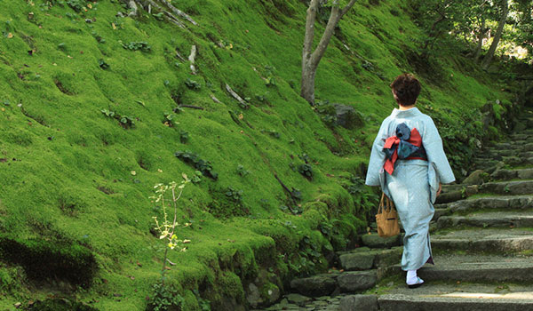 レンタル着物じゅぱん